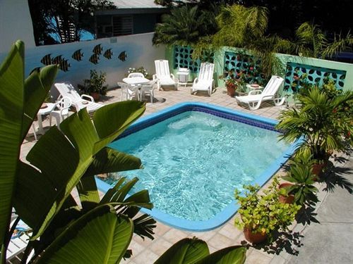 سانت مارتن Turquoise Shell Inn المظهر الخارجي الصورة